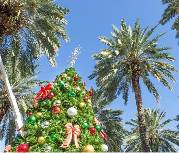 Christmas tree surrounded by palm trees.