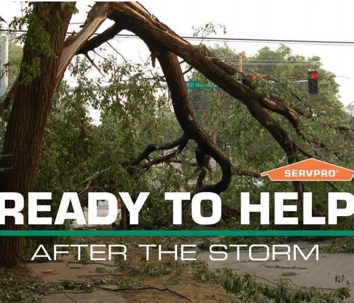Downed tree during storm with SERVPRO logo.