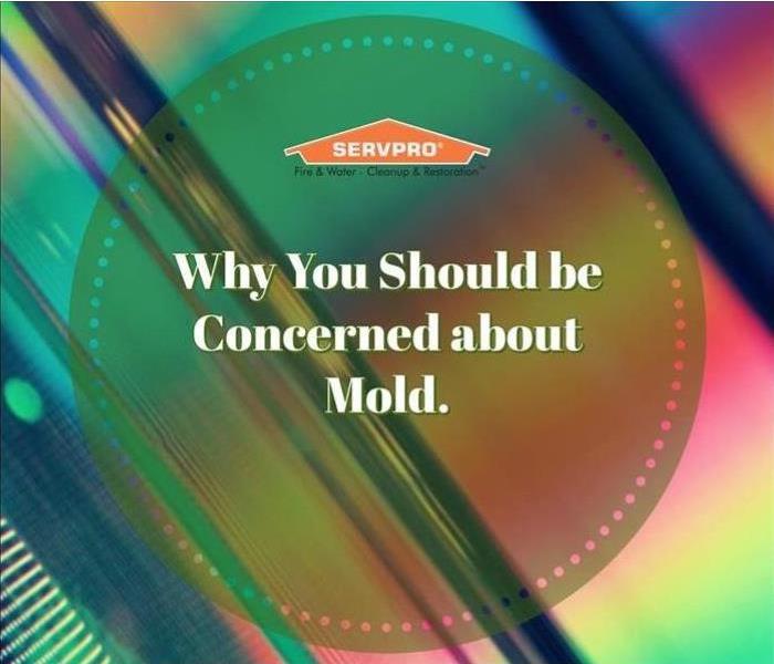 Why you should be concerned about mold.